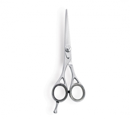 Professional Hair Cutting Scissor